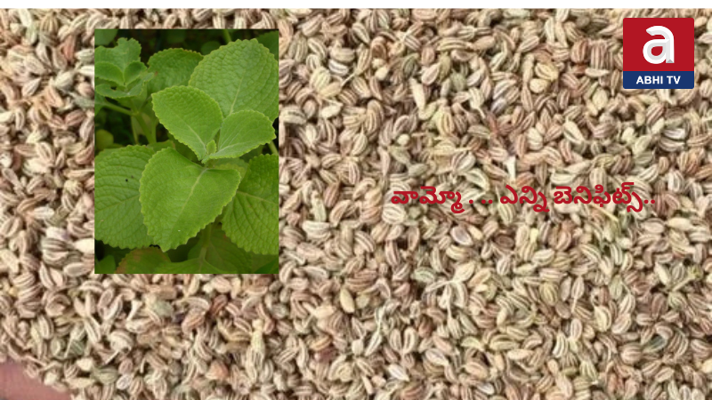 దగ్గు, జలుబుకు నేచురల్ మెడిసన్.. వాము