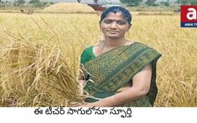 అర ఎకరాలో 43 బస్తాల ధాన్యం