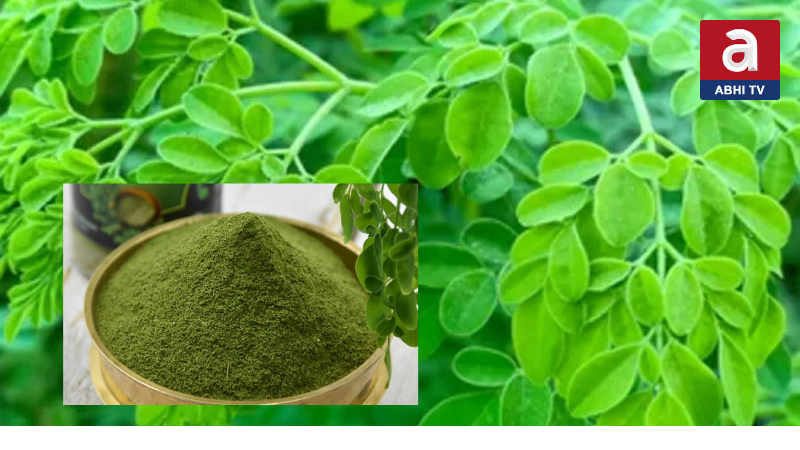 మునగాకు – ఎన్ని ఆరోగ్య ప్రయోజనలో  తెలుసా?