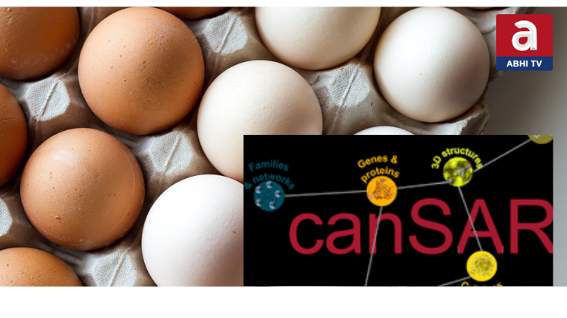 కోడిగుడ్లతో క్యాన్సర్ ?  ఎంతవరకు నిజం ?