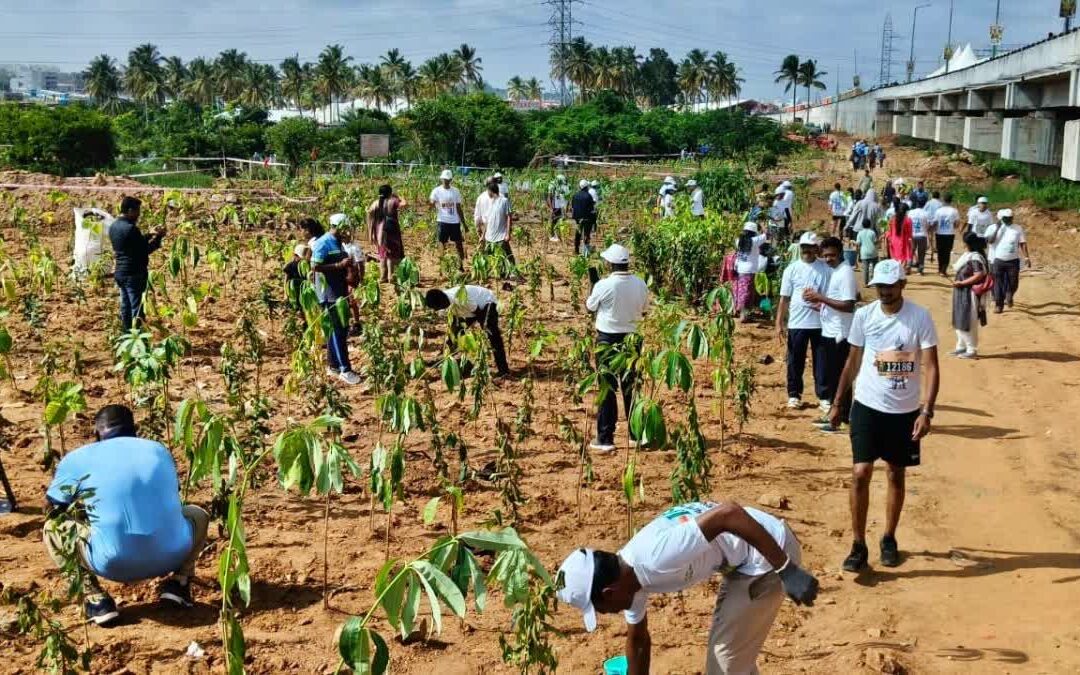 ఒక్కరోజులో ఏకంగా 15 లక్షల మొక్కలు- బెంగుళూర్ గిన్నిస్ రికార్డు