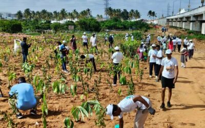 ఒక్కరోజులో ఏకంగా 15 లక్షల మొక్కలు- బెంగుళూర్ గిన్నిస్ రికార్డు